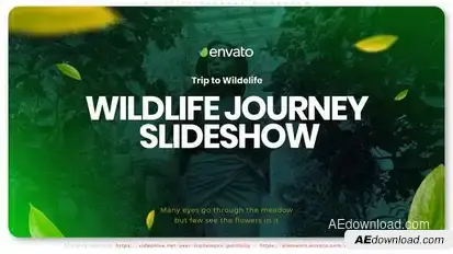 Wildlife Journey Slideshow Video Displays template preview