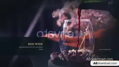 Winery Openers template preview
