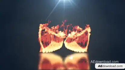 Wings Logo Reveal V2 Logo Stings template preview