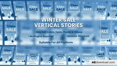 Winter Season Sale Social Media Stories Video Displays template preview