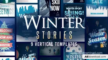 Winter Season Stories Product Promo template preview