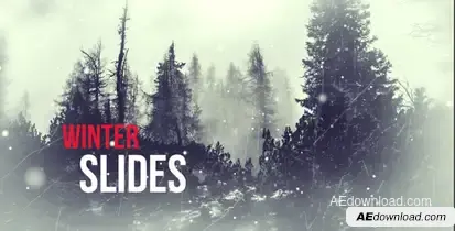 Winter Slides Video Displays template preview