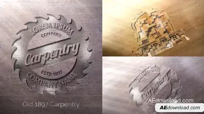 Wood Logo Logo Stings template preview