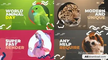 World Animal Day Opener Openers template preview