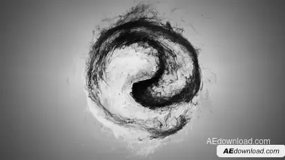 Yin Yang Logo Reveal Logo Stings template preview