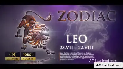 Zodiac 4K Video Displays template preview