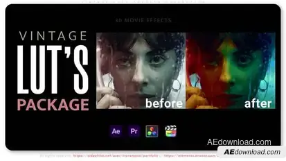 Vintage LUTs Presets Collection Premiere Pro template preview