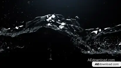 Watertrail Logo Reveal Video Displays template preview