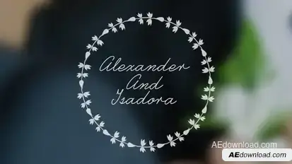 Wedding Animated Typeface Video Displays template preview