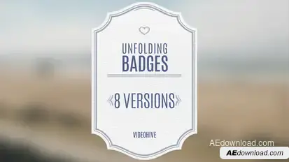 Wedding Badges Video Displays template preview