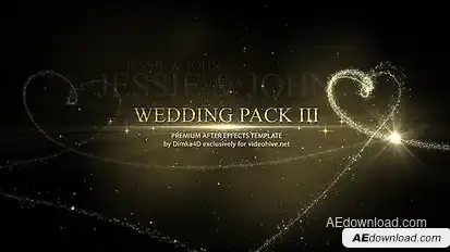 Wedding Video Displays template preview