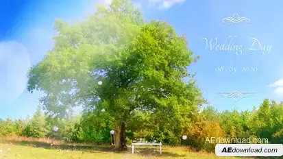Wedding Gallery Video Displays template preview