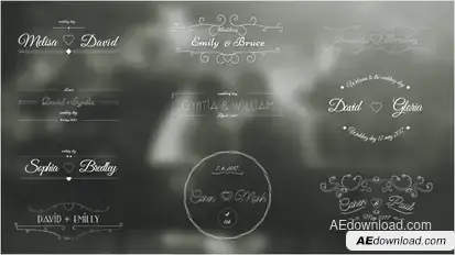 Wedding Labels Video Displays template preview