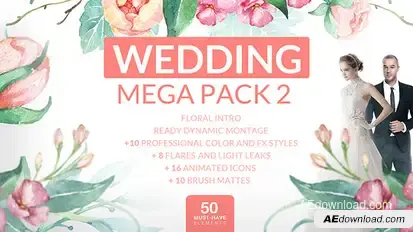 Wedding Mega Pack 2 Video Displays template preview