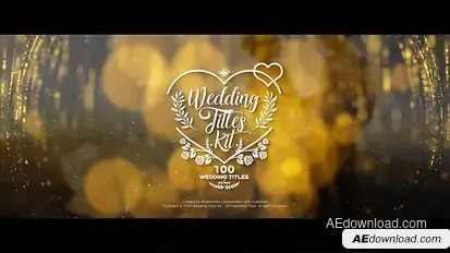 Wedding Titles Kit - 100 Titles Video Displays template preview