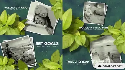 Wellness & Health Promo Video Displays template preview