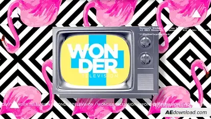 Wonder Television Video Displays template preview